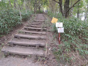 下山道