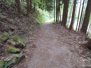 東海自然道
