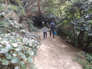下山道