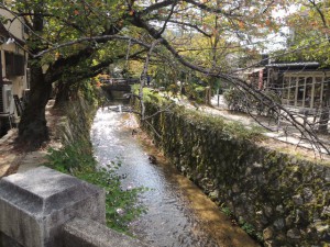 哲学の道