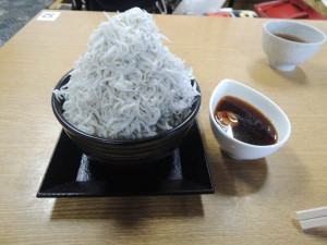 釜上げしらす丼