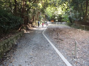 登山道