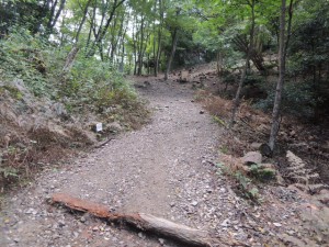 山道