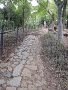 石畳の道