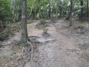 山道