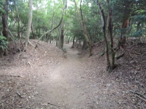 山道