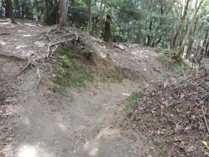 山道