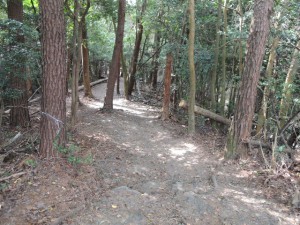 山道