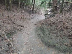 山道