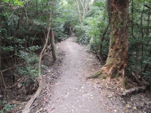 山道