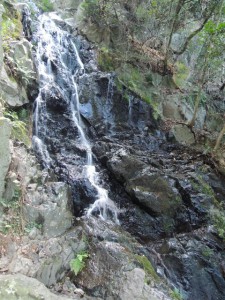 楼門の滝