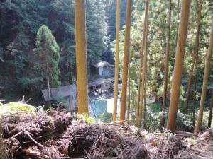 建物