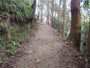 山道