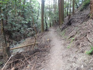 山道