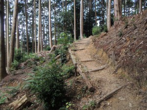 山道