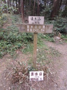 清水山