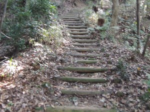 木の階段