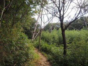 鉄塔