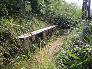 ベンチ