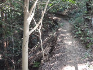 山道
