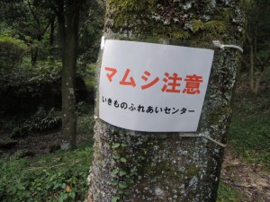 マムシに注意