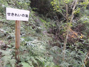 せきれいの滝