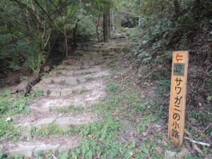 下山道（サワガニの小径）