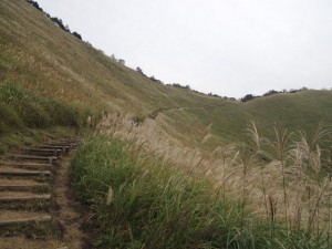 登山道