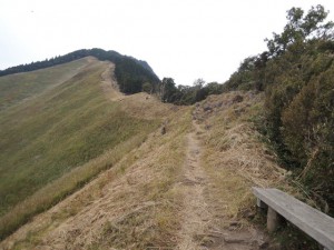 二本ボソへの登山口