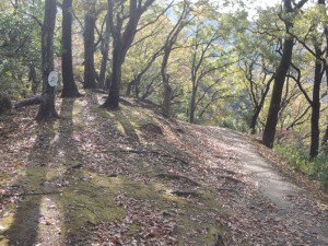 山道
