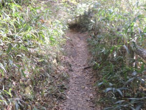 山道