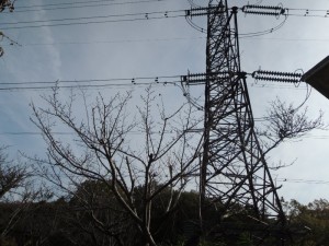 送電線鉄塔