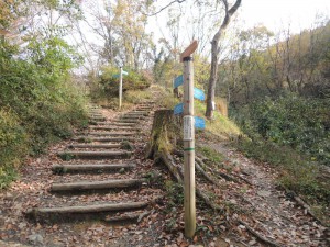 山道