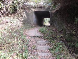 交差