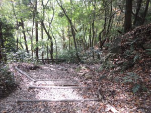 山道