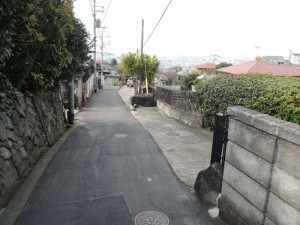道路