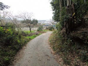 道