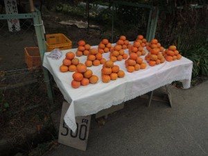 柿の無人販売所