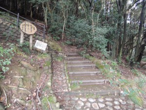 登り口