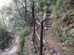 登山道