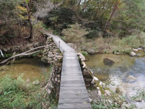 橋