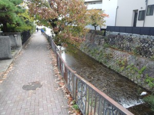 川沿いの道