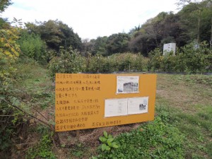 河内木綿　畑