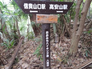 おおみちハイキング道