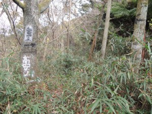 高安山頂上案内