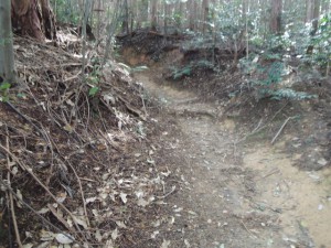 山道３