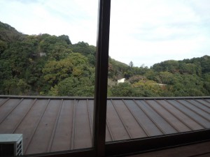 窓からの景色