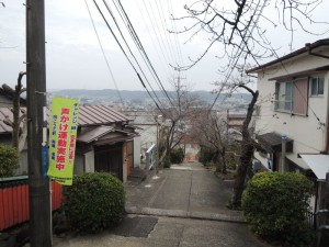 石段（振り返り）