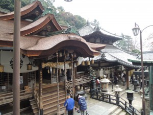 見下ろす