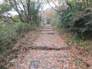 登山道